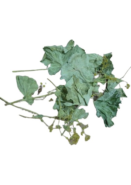 Aslan Pençesi 500 gr