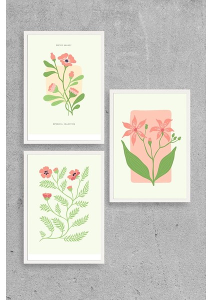 Botanik Üçlü Ahşap Çerçeveli Tablo