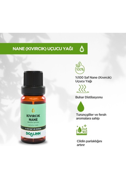 Kıvırcık Nane (Bahçe Nanesi) Uçucu Yağı 10 ml