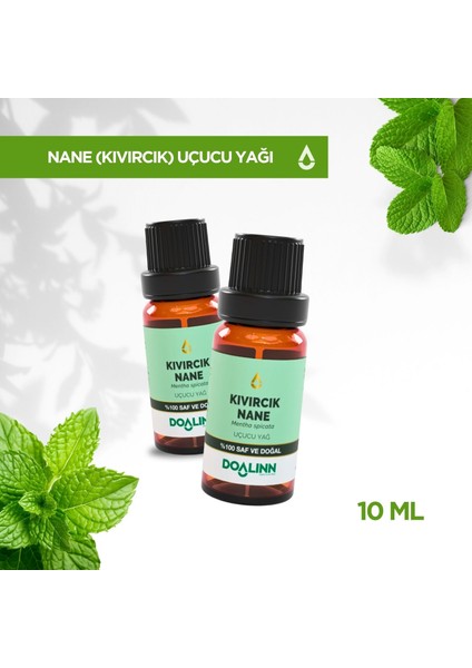 Kıvırcık Nane (Bahçe Nanesi) Uçucu Yağı 10 ml fiyatları