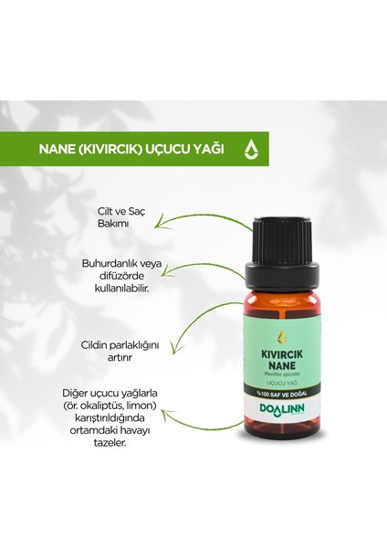 Kıvırcık Nane (Bahçe Nanesi) Uçucu Yağı 10 ml modelleri