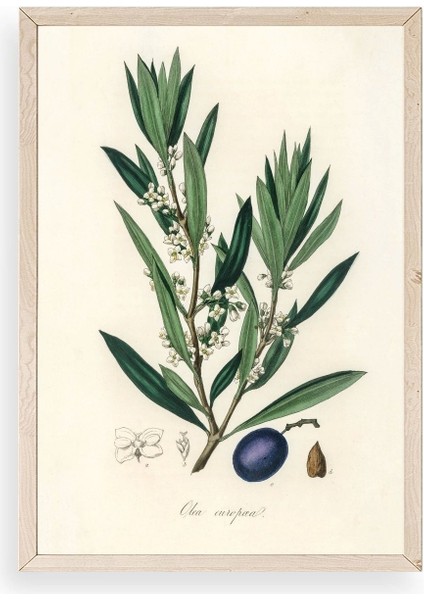 Yaprak Ahşap Çerçeveli Tablo