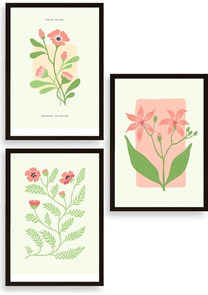 Botanik Üçlü Ahşap Çerçeveli Tablo