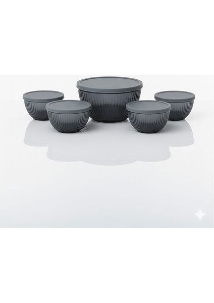 Artemis 5 ' Lı Kapaklı Kase Seti