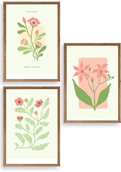 Botanik Üçlü Ahşap Çerçeveli Tablo