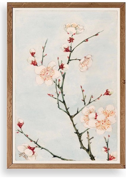 Cherry Blossom Ahşap Çerçeveli Tablo