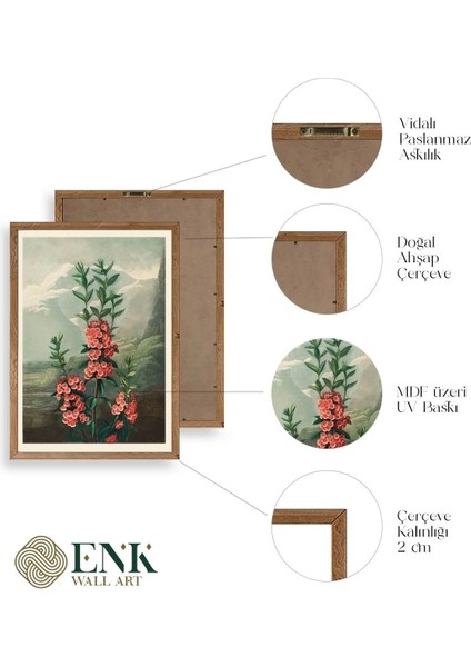 Narrow-Leaved Kalmia Ahşap Çerçeveli Tablo fırsatları