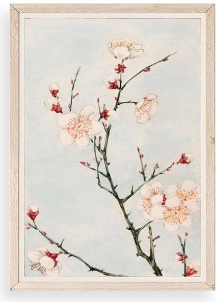 Cherry Blossom Ahşap Çerçeveli Tablo