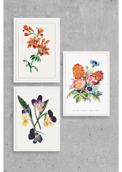 Çiçek Üçlü Ahşap Çerçeveli Tablo