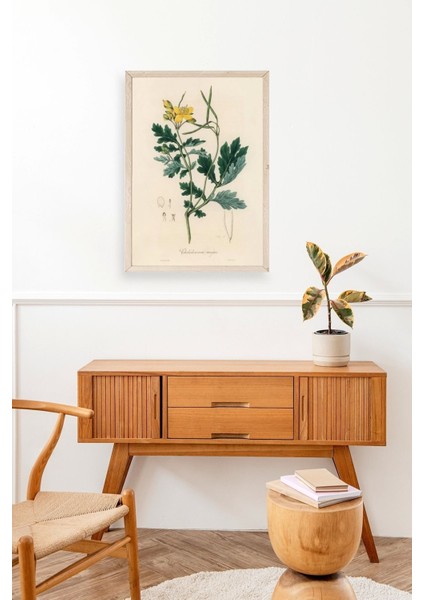 Çiçek Ahşap Çerçeveli Tablo modelleri