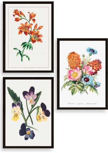 Çiçek Üçlü Ahşap Çerçeveli Tablo