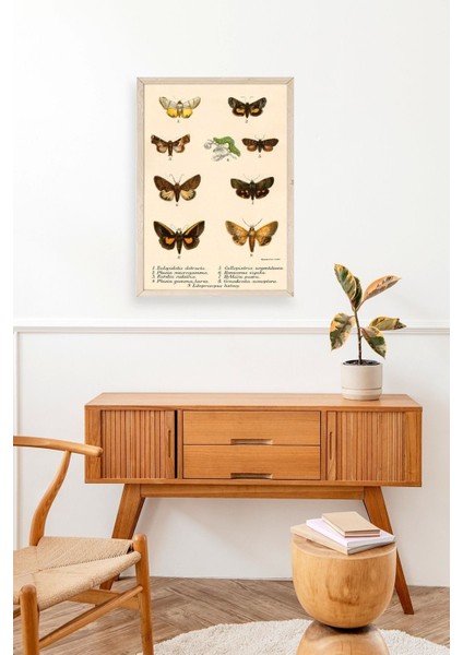 Kelebekler Ahşap Çerçeveli Tablo modelleri