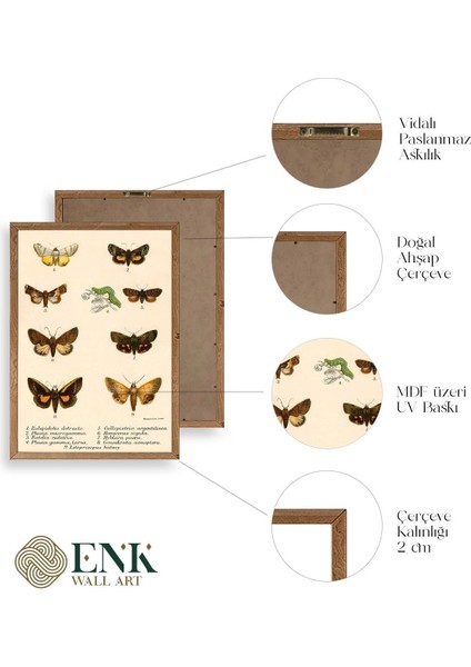 Kelebekler Ahşap Çerçeveli Tablo fırsatları