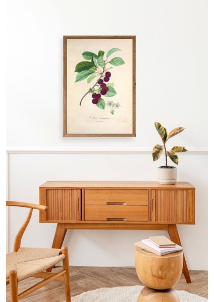 Meyveler Ahşap Çerçeveli Tablo modelleri