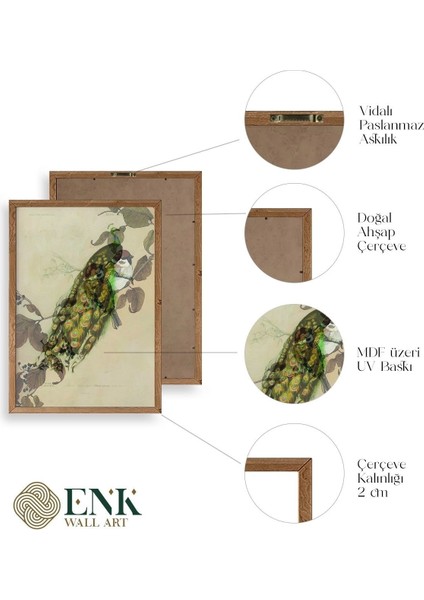 Kuş Ahşap Çerçeveli Tablo fırsatları