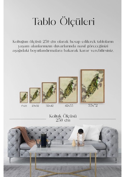 Kuş Ahşap Çerçeveli Tablo indirimleri