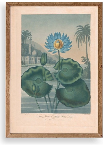 Joseph Constantine Ahşap Çerçeveli Tablo