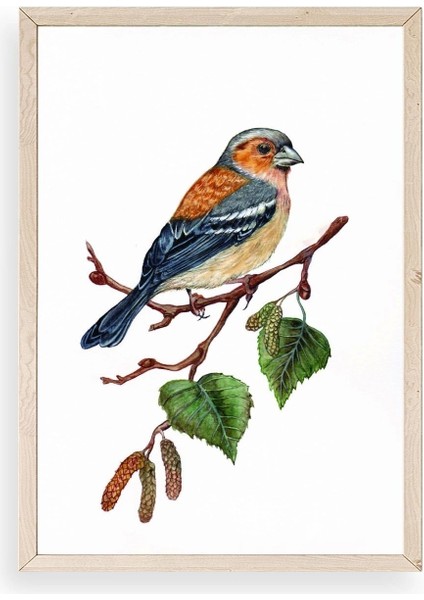 Kuş Ahşap Çerçeveli Tablo