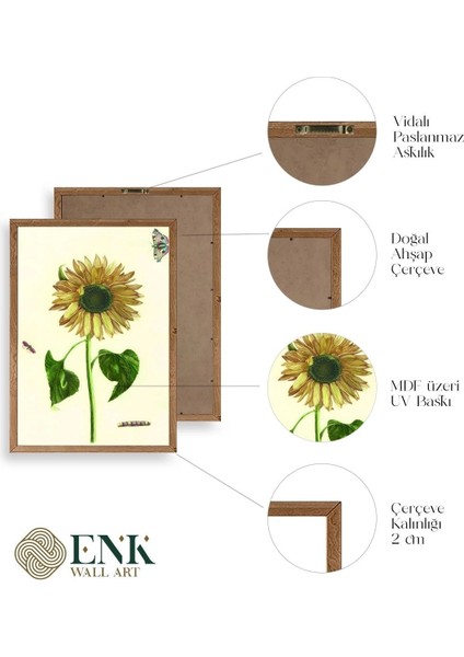 Ayçiçeği Ahşap Çerçeveli Tablo fırsatları