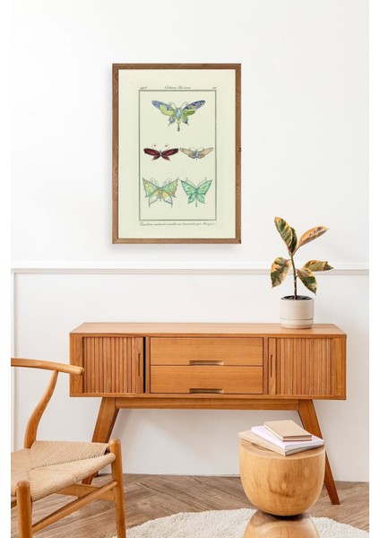 Kelebek Ahşap Çerçeveli Tablo modelleri