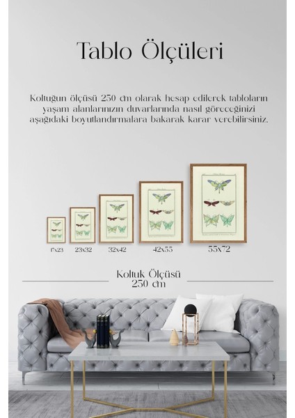 Kelebek Ahşap Çerçeveli Tablo indirimleri