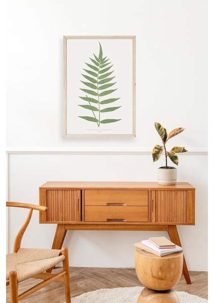Polypodium Franxinifolium Ahşap Çerçeveli Tablo fiyatları