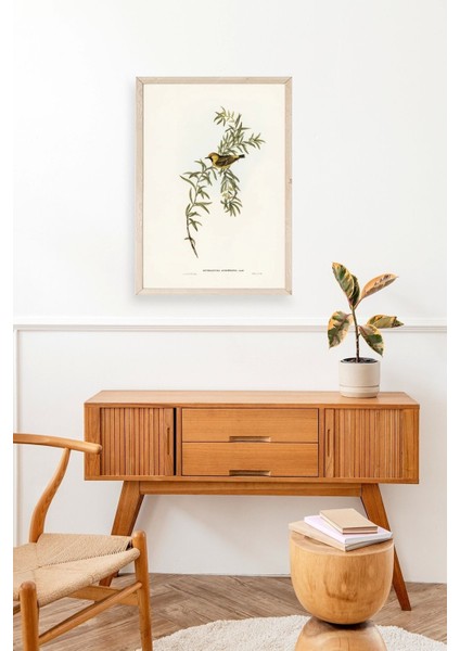 Daldaki Kuş Ahşap Çerçeveli Tablo modelleri