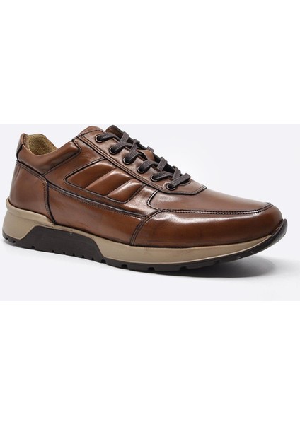 Sneaker Taba Erkek Ayakkabı 2720 686 fiyatları