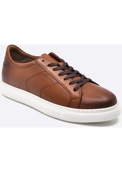 Hakiki Deri Spor Sneaker Erkek Ayakkabı Taba 9809 fiyatları