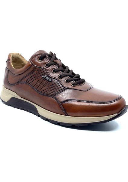 Sneaker Taba Erkek Ayakkabı 2721 686 fiyatları