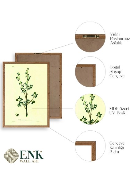 Yapraklar Ahşap Çerçeveli Tablo fırsatları