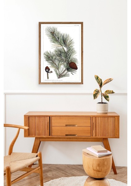 Çam Ahşap Çerçeveli Tablo modelleri