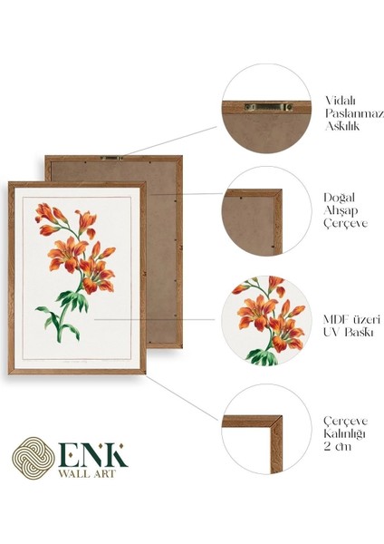 Turuncu Zambak Ahşap Çerçeveli Tablo fırsatları