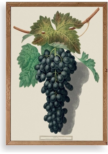 Üzüm Ahşap Çerçeveli Tablo