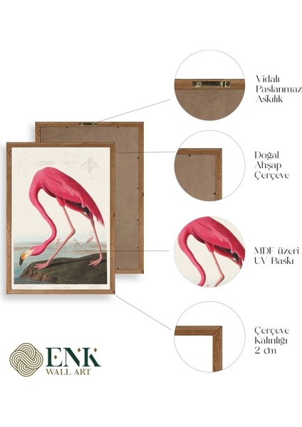 Flamingo Ahşap Çerçeveli Tablo fırsatları