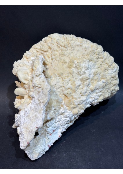 Mercan Koleksiyon Doğaltaş fiyatları