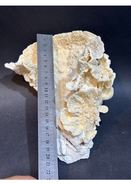 Mercan Koleksiyon Doğaltaş fırsatları