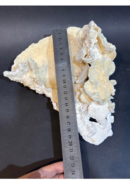 Mercan Koleksiyon Doğaltaş