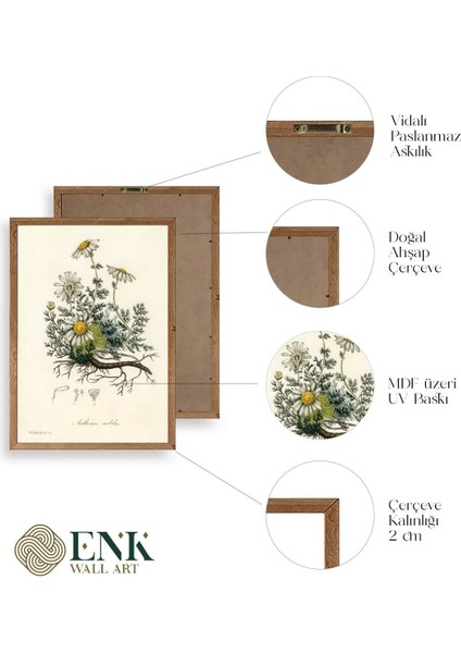 Papatya Ahşap Çerçeveli Tablo fırsatları