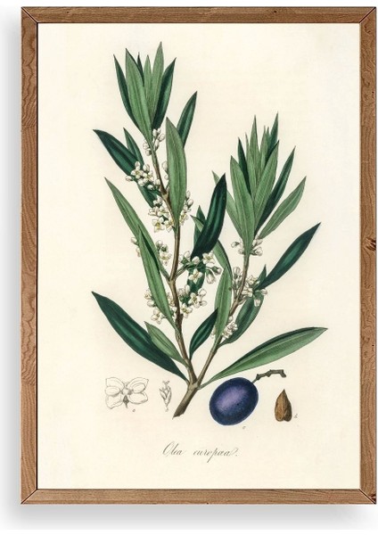 Yaprak Ahşap Çerçeveli Tablo