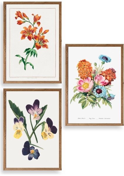 Çiçek Üçlü Ahşap Çerçeveli Tablo