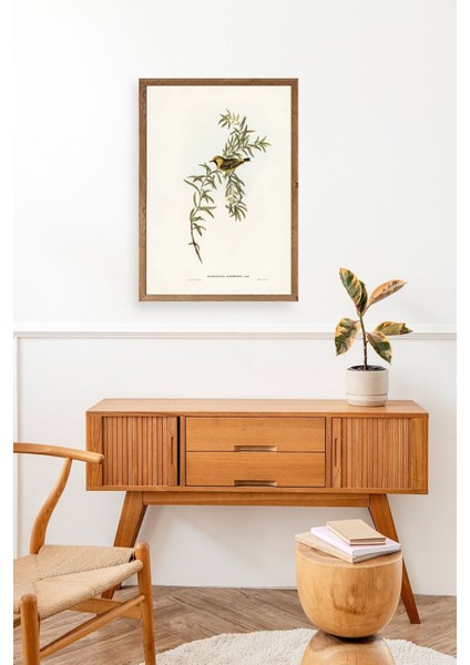 Daldaki Kuş Ahşap Çerçeveli Tablo modelleri