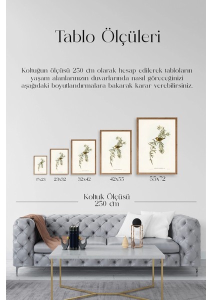 Daldaki Kuş Ahşap Çerçeveli Tablo indirimleri