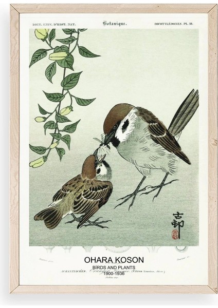 Kuşlar Ahşap Çerçeveli Tablo