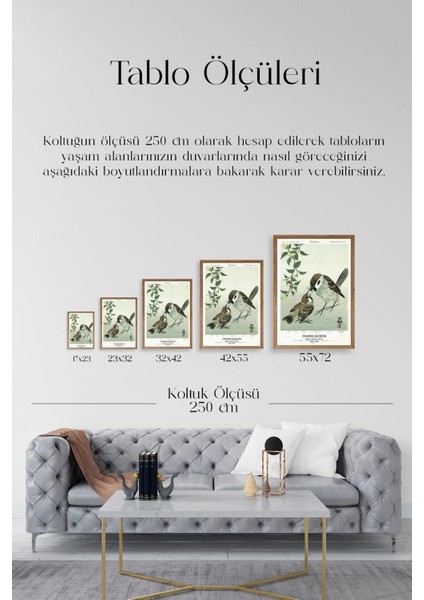 Kuşlar Ahşap Çerçeveli Tablo indirimleri