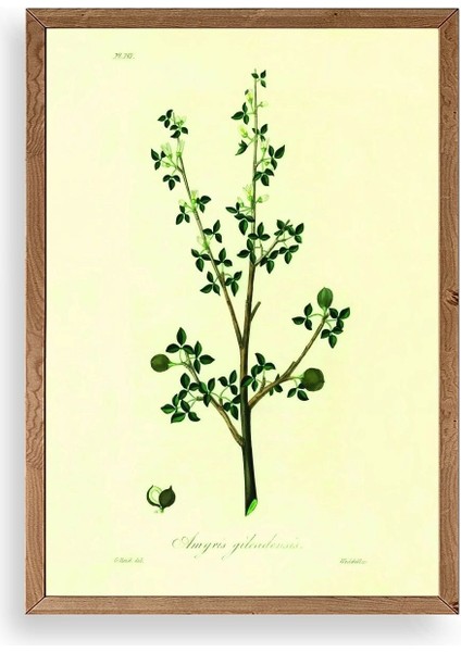 Yapraklar Ahşap Çerçeveli Tablo