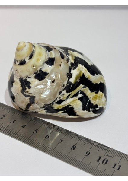 Turbo Burges Siyah Beyaz