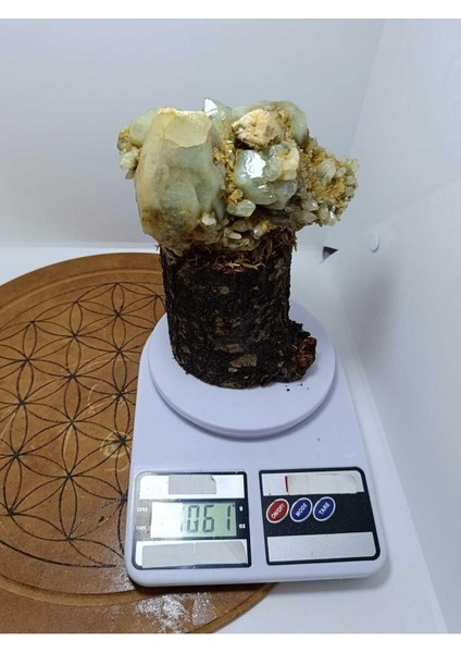 Özel Tasarım Ağaç Görünümlü Kaideli Küme Kuvars