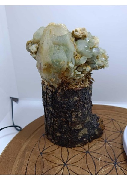 Özel Tasarım Ağaç Görünümlü Kaideli Küme Kuvars fiyatları