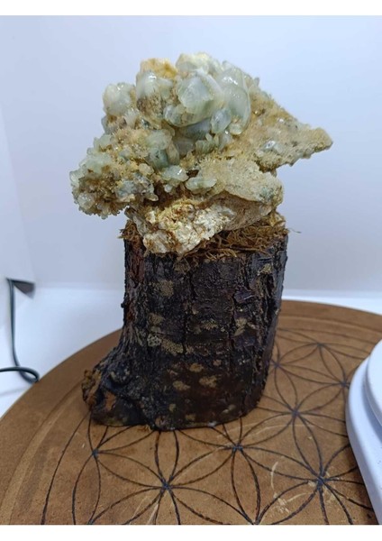 Özel Tasarım Ağaç Görünümlü Kaideli Küme Kuvars modelleri